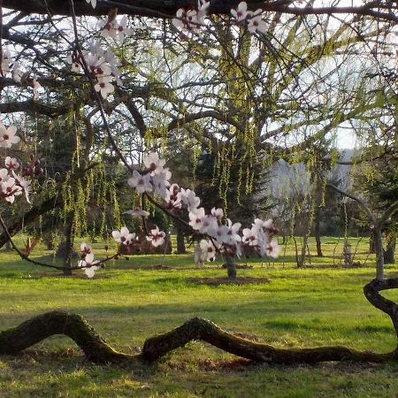 Bed and Breakfast Domaine Berenguer Ouches Exterior foto