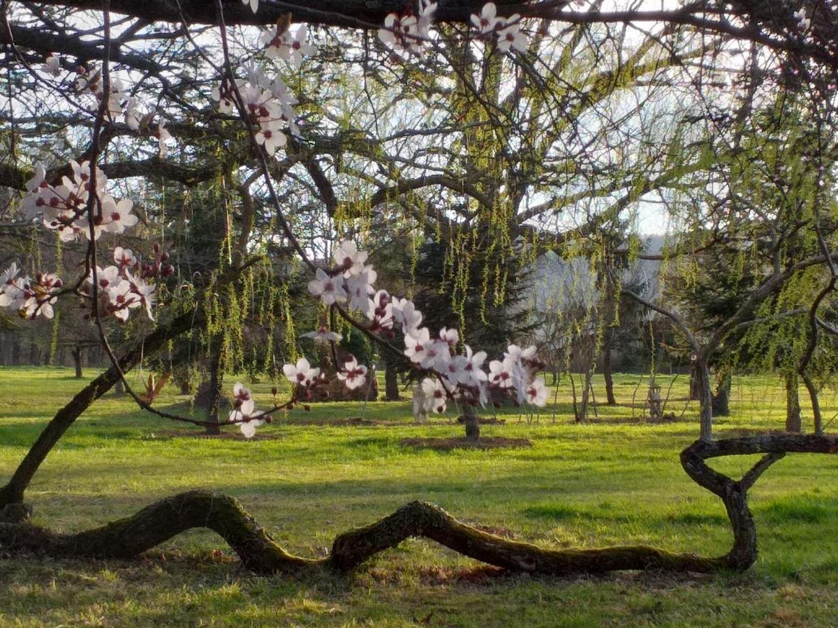 Bed and Breakfast Domaine Berenguer Ouches Exterior foto